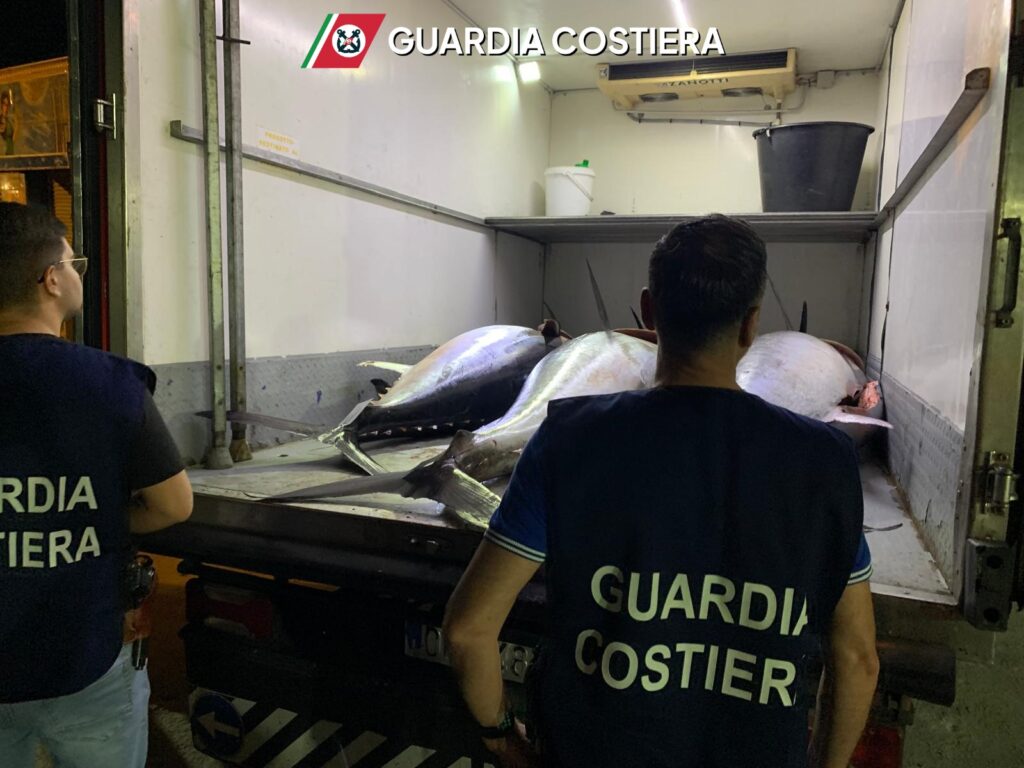 Portopalo di Capo Passero , sequestrata una tonnellata di tonno rosso privo di certificazione di tracciabilità 1 sequestrata