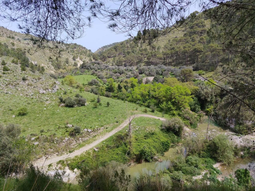 Parco