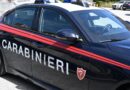 Sortino